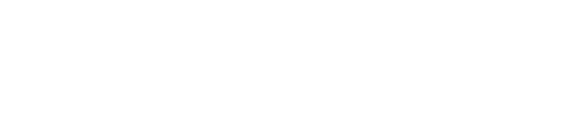 The University of Arkansas - Fort Smith Foundation